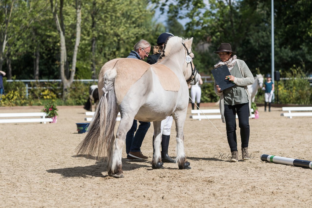 Bild 15 - Pony Akademie Turnier